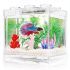 Betta Fish Aquarium With Filter​