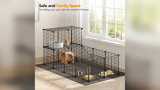 Best Cages for Guinea Pigs