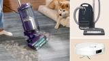 Best Cordless Vacuum Pet Hair