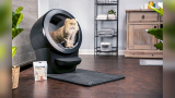 Best Litter Box for Odor Control