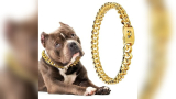 Chain Puppy Collars​