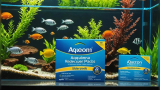 How to Reduce Ammonia in Fish Tank