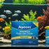 How to Reduce Nitrate in a Fish Tank​