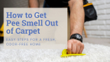How to Remove Urine Odor from Carpet​